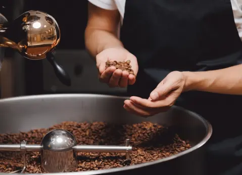 Torréfacteur Pradet | LE JARDIN DU CAFÉ — Devis gratuit