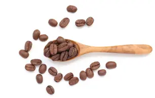 Torréfacteur Solliès-Pont | LE JARDIN DU CAFÉ | Devis gratuit