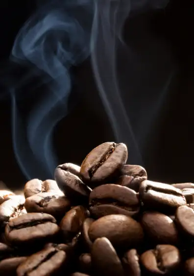 Torréfacteur Lavandou | LE JARDIN DU CAFÉ – Devis Gratuit