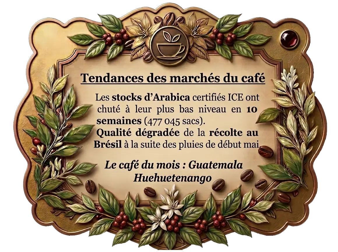 Le Jardin Du Cafe Torrefacteur A Hyeres Popup Cafe Du Monde